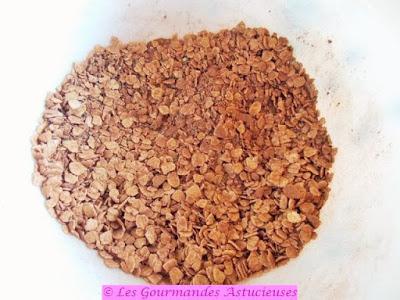 Pudding mousseux au chocolat (Vegan)