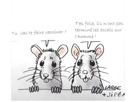 C'est à mon avis la meilleure illustration des problème que vont poser les nouveaux vaccins ARN
