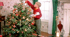 [Blog Mas #7] Traditions de Noël