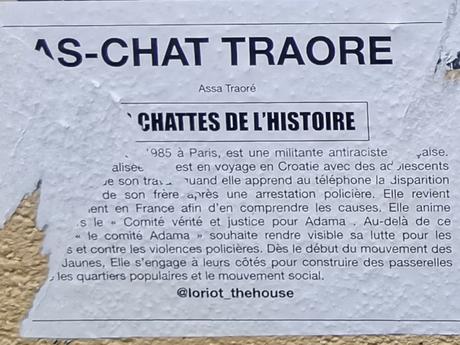 chat_traore.jpg