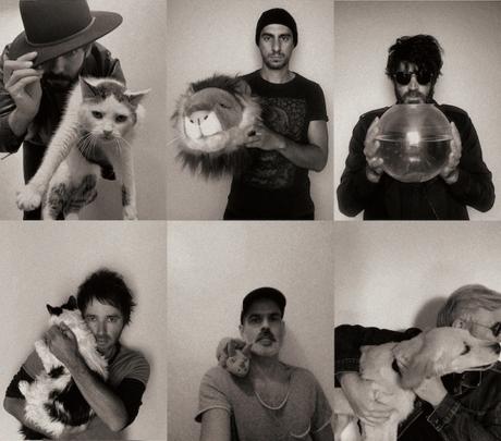 Interview Express : Animal Triste Interview Express : Animal Triste