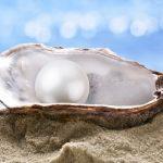 Mes cadeaux pour vous ! Mes cadeaux pour vous !