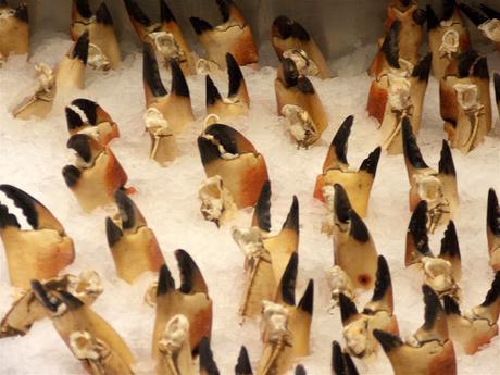 flottaison flottaison