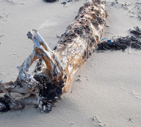 flottaison flottaison