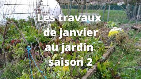 Les travaux de janvier au jardin urbain en permaculture (vidéo)