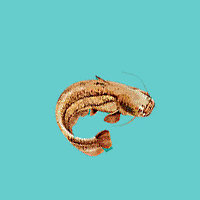 la jambe de grue la jambe de grue