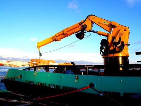 la jambe de grue la jambe de grue