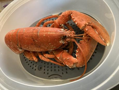 Comment cuire les crustacés: le homard, la langouste, le crabe, l'araignée ou le tourteau...?