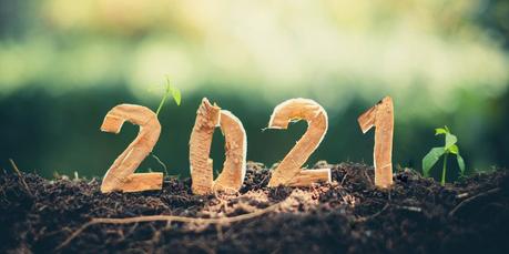 Belle et heureuse année 2021!