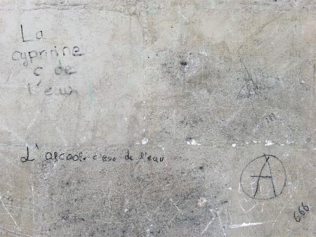 Rosa BonheurElle s’élève sur un parterre de fleurs. Elle ... Rosa BonheurElle s’élève sur un parterre de fleurs. Elle ...