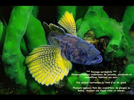 Pays Etranger - Le Lac Baïkal - Sibérie