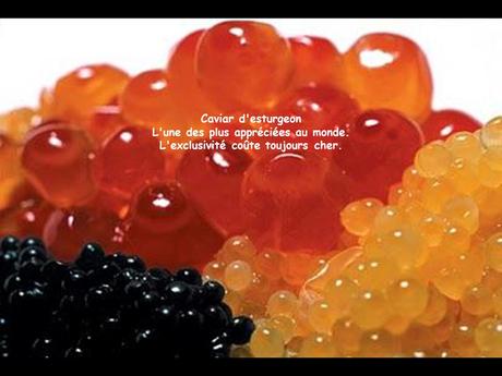 Pays Etranger - Le Lac Baïkal - Sibérie