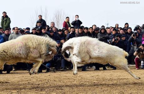 L'Année qui a Changé l'Internet L'Année qui a Changé l'Internet