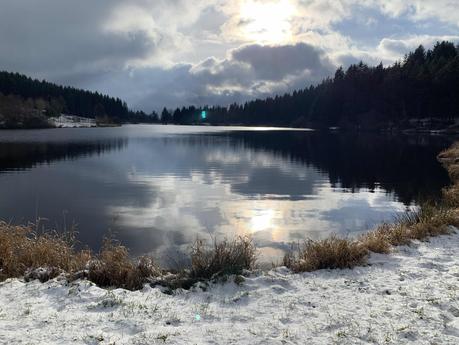 Blues du dimanche soir et ras le bol devant une France lamentable Blues du dimanche soir et ras le bol devant une France lamentable