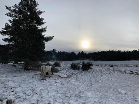 Blues du dimanche soir et ras le bol devant une France lamentable Blues du dimanche soir et ras le bol devant une France lamentable