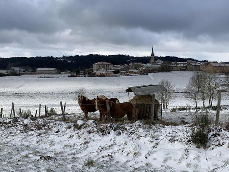 Blues du dimanche soir et ras le bol devant une France lamentable Blues du dimanche soir et ras le bol devant une France lamentable