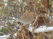 articles vous avez préférés rétrospective 2020