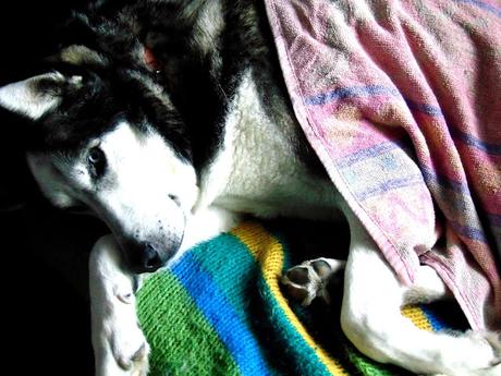 English breakfast {encore!}