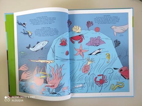 Les sciences en BD : Les océans » Jean-Baptiste de Panafieu