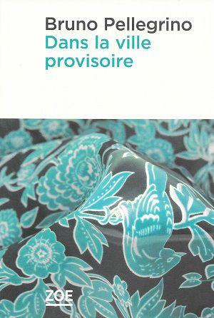 Dans la ville provisoire, de Bruno Pellegrino