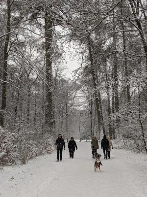 Dreikönigstag 2021 in Nymphenburg — Épiphanie à Nymphenburg