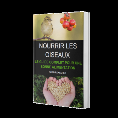 SAUVER UN OISEAU TOMBÉ DE SON NID Ebook sur les oiseaux