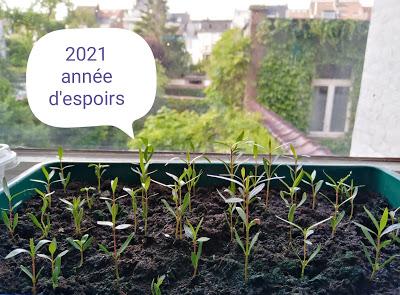 Les vœux particuliers pour l'année 2021