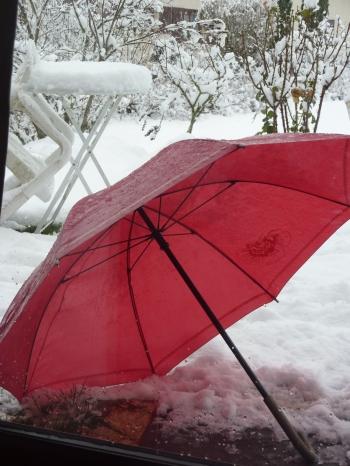 jules laforgue,poésie,carnet,note,journal,image,photo,campagne,hiver,neige,arbre,christian cottet-emard,ciel,chat,félin,empreintes,quotidien,contemplation,détente,promenade,blog littéraire de christian cottet-emard,parapluie,silhouette