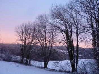 jules laforgue,poésie,carnet,note,journal,image,photo,campagne,hiver,neige,arbre,christian cottet-emard,ciel,chat,félin,empreintes,quotidien,contemplation,détente,promenade,blog littéraire de christian cottet-emard,parapluie,silhouette