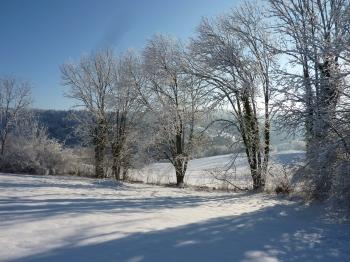 jules laforgue,poésie,carnet,note,journal,image,photo,campagne,hiver,neige,arbre,christian cottet-emard,ciel,chat,félin,empreintes,quotidien,contemplation,détente,promenade,blog littéraire de christian cottet-emard,parapluie,silhouette