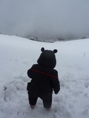 jules laforgue,poésie,carnet,note,journal,image,photo,campagne,hiver,neige,arbre,christian cottet-emard,ciel,chat,félin,empreintes,quotidien,contemplation,détente,promenade,blog littéraire de christian cottet-emard,parapluie,silhouette