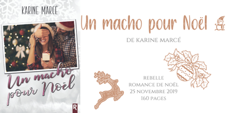 Un macho pour Noël • Karine Marcé