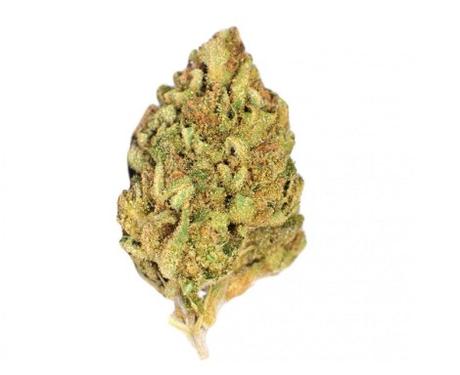 Fleur CBD Amnesia Haze