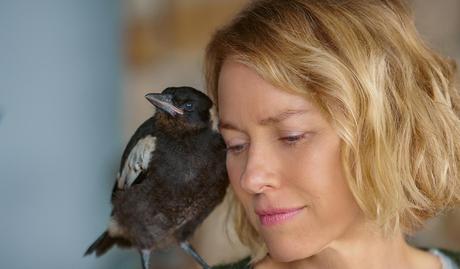 Bande annonce VOST pour Penguin Bloom de Glendyn Ivin