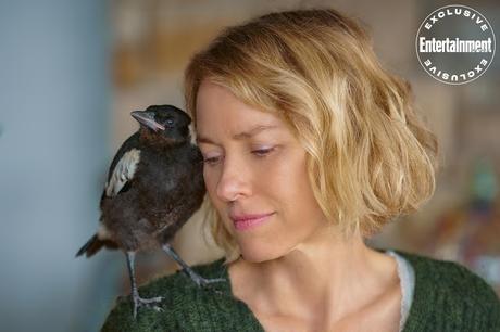 Bande annonce VOST pour Penguin Bloom de Glendyn Ivin