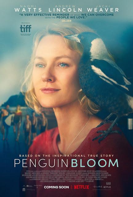 Bande annonce VOST pour Penguin Bloom de Glendyn Ivin