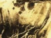 Roland Chopard [L’œil réécrit constamment défile]