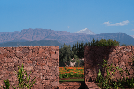 YSL Beauté : les Jardins de l’Ourika au Maroc, une expérimentation visionnaire au coeur d’une démarche d’approvisionnement sociale et durable
