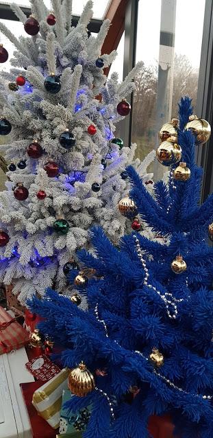 à année spéciale, sapin spécial