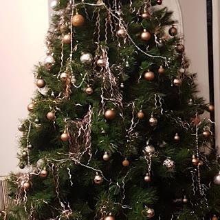 à année spéciale, sapin spécial