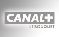Canal+, Bolloré : S’embraser sous le Guy