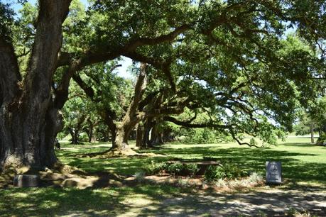 Trois mois de road trip aux Etats-Unis : le bilan