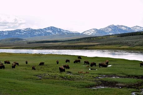 Trois mois de road trip aux Etats-Unis : le bilan