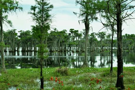 Trois mois de road trip aux Etats-Unis : le bilan