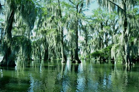 Trois mois de road trip aux Etats-Unis : le bilan