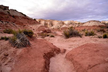 Trois mois de road trip aux Etats-Unis : le bilan