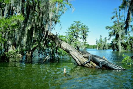 Trois mois de road trip aux Etats-Unis : le bilan