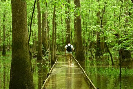 Trois mois de road trip aux Etats-Unis : le bilan