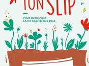 Pour changer, plantez slip