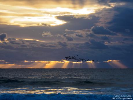 #aube glacée au bord de l'#Odet #Bretagne #Finistère